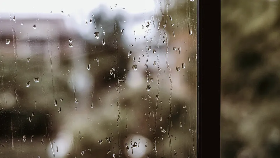 Raindrops on a window pane