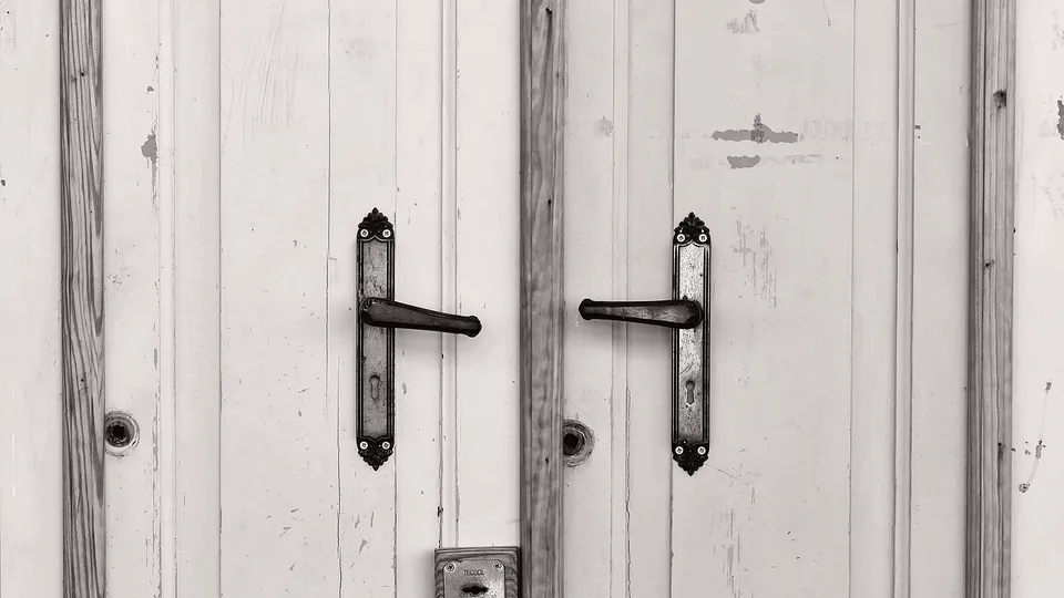 Pair of white paneled doors with lever handles