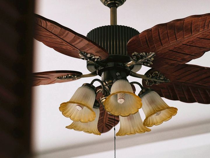 Ceiling fan with a bronze light kit and wood blades