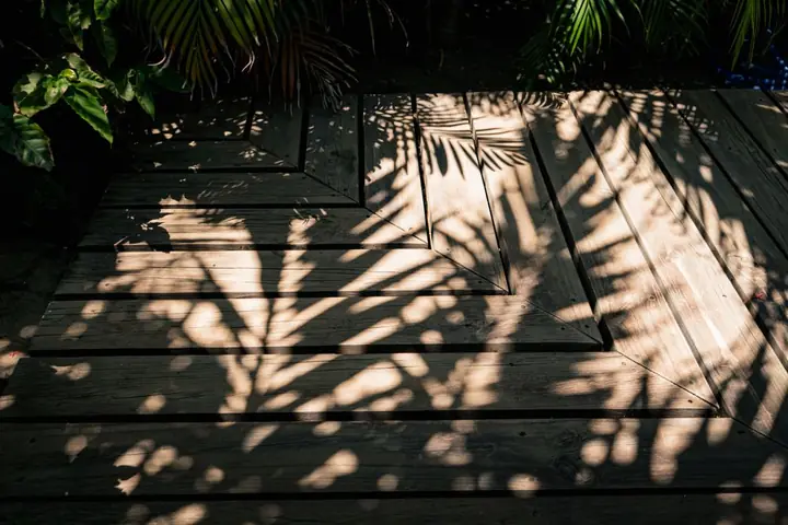 Palm leaf shadows on dark wood deck boards