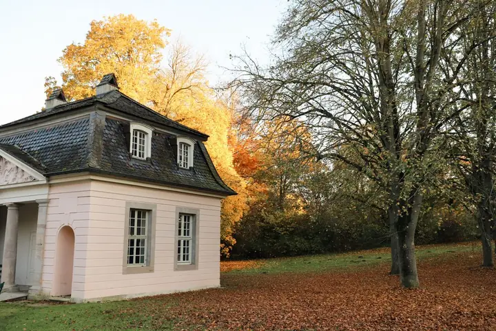 Small cream house with a slate roof among autumn trees