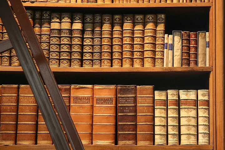 Tall bookcase filled with books