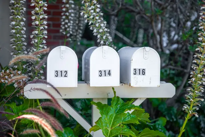 Three white mailboxes with numbers surrounded by greenery and flowers in San Francisco