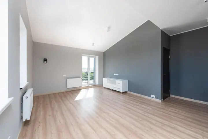 Empty room with a sloped ceiling, gray wall and wood floor