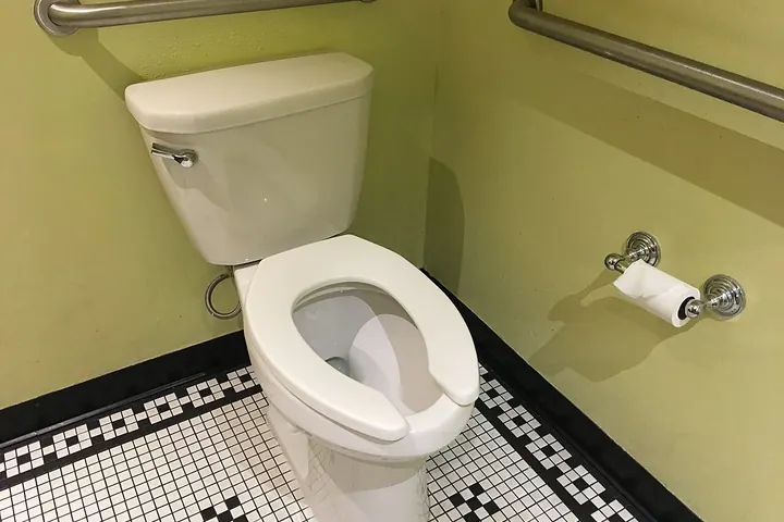 Toilet with stainless grab bars on two walls