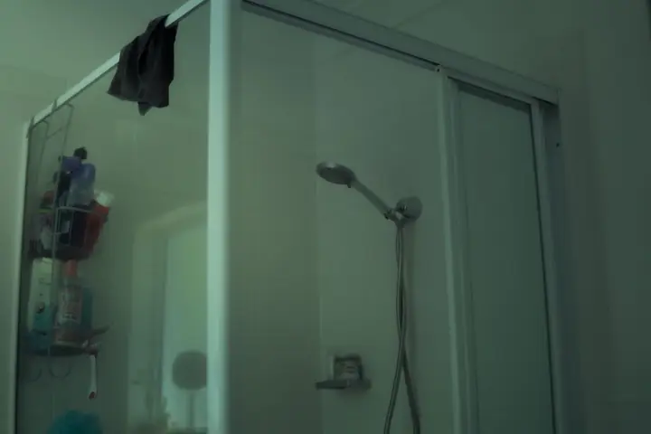 Frosted glass shower door with a handheld shower inside