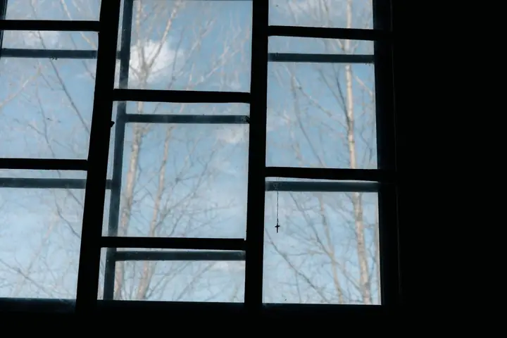 Silhouette of a window with clear blue sky and bare tree branches visible outside