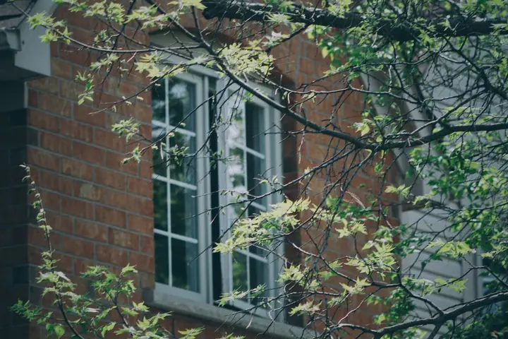 A brick house with windows surrounded by lush green branches in spring