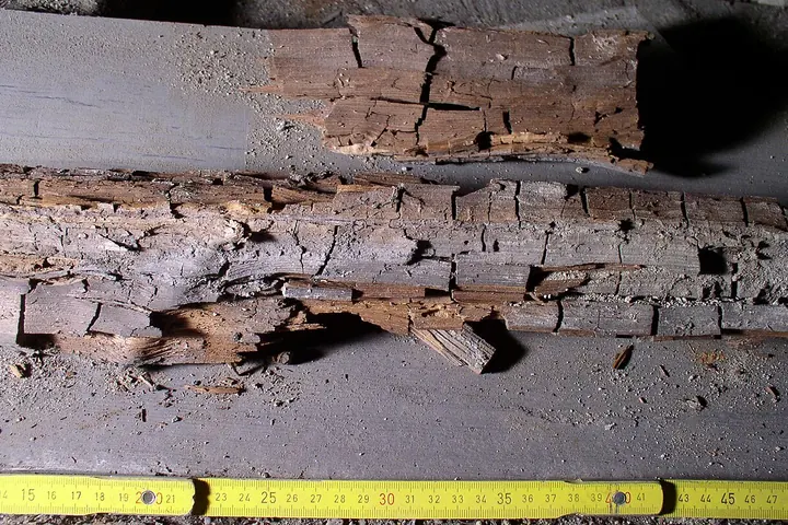 Crumbling rotted wood beam beside a tape measure